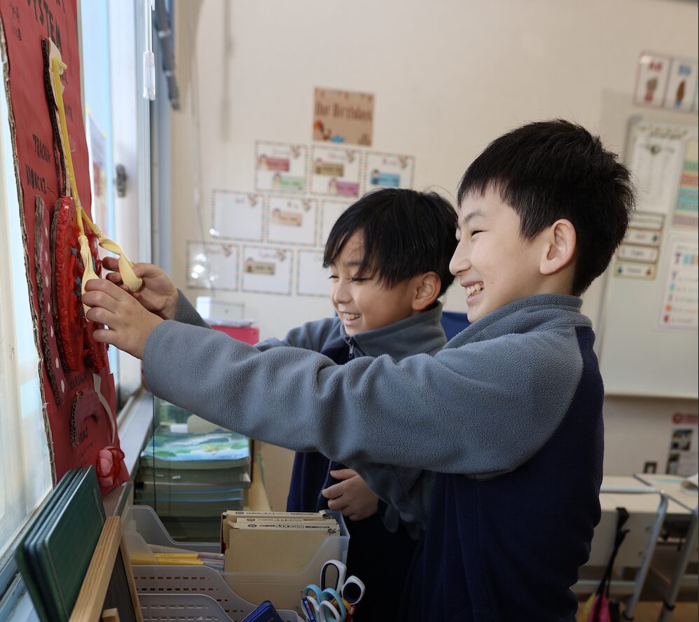 OWIS Osaka Primary school student plays with a model of the human lungs