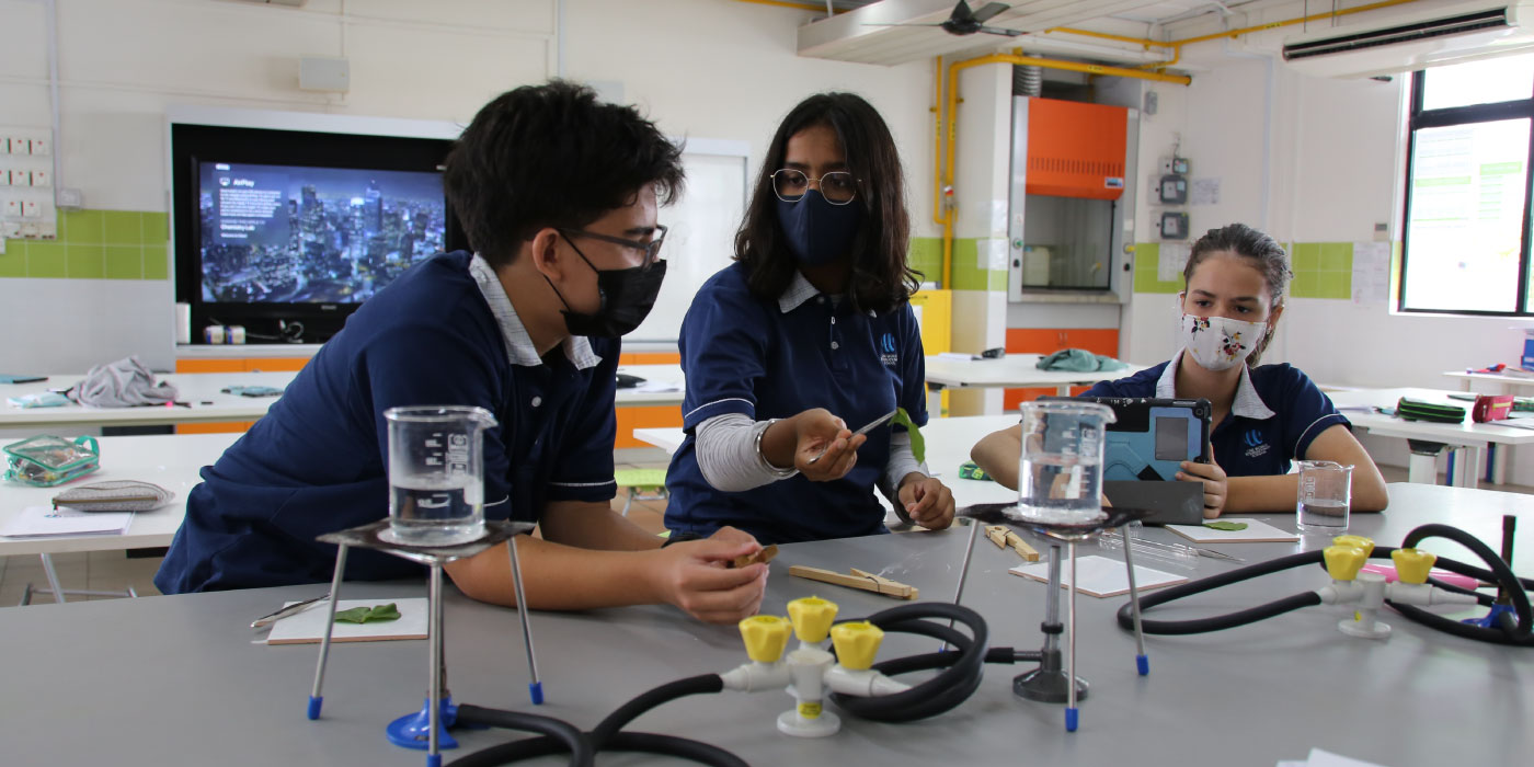 OWIS Excellence Scholarship for Academic Achievements (for students going into IGCSE Grade 9)